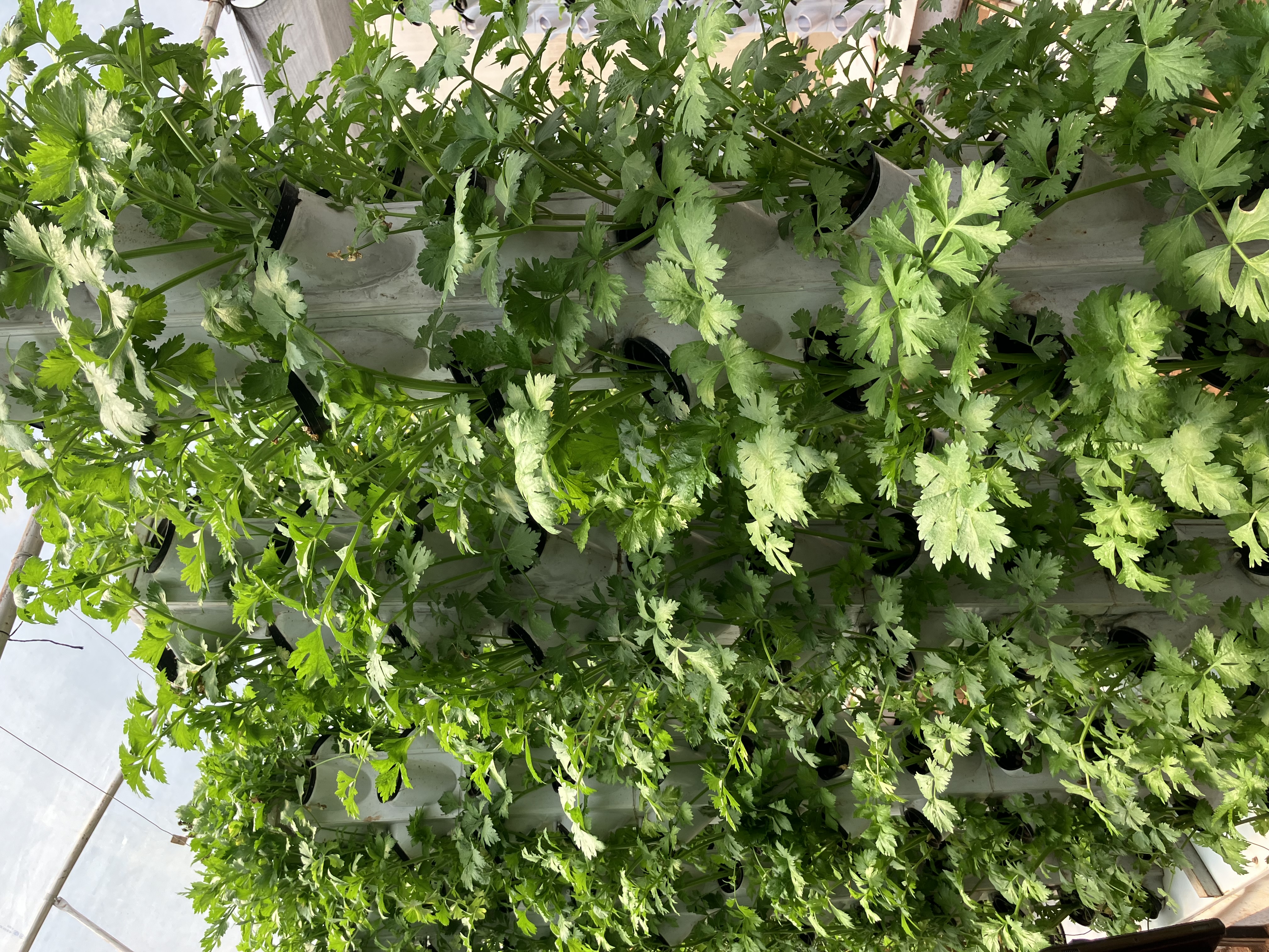 Community meeting - Nature Alliance