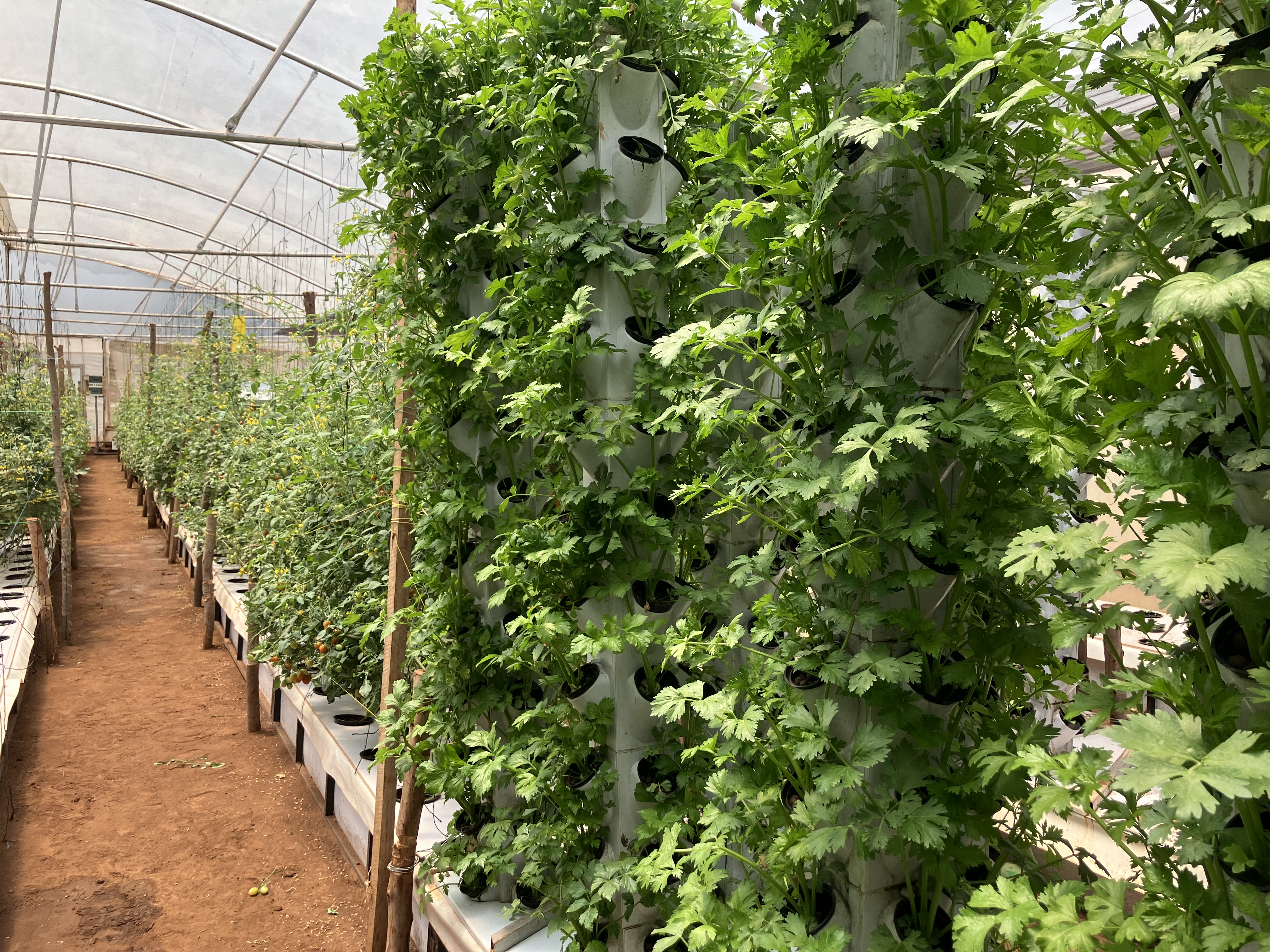 Sustainable Agriculture - Nature Alliance