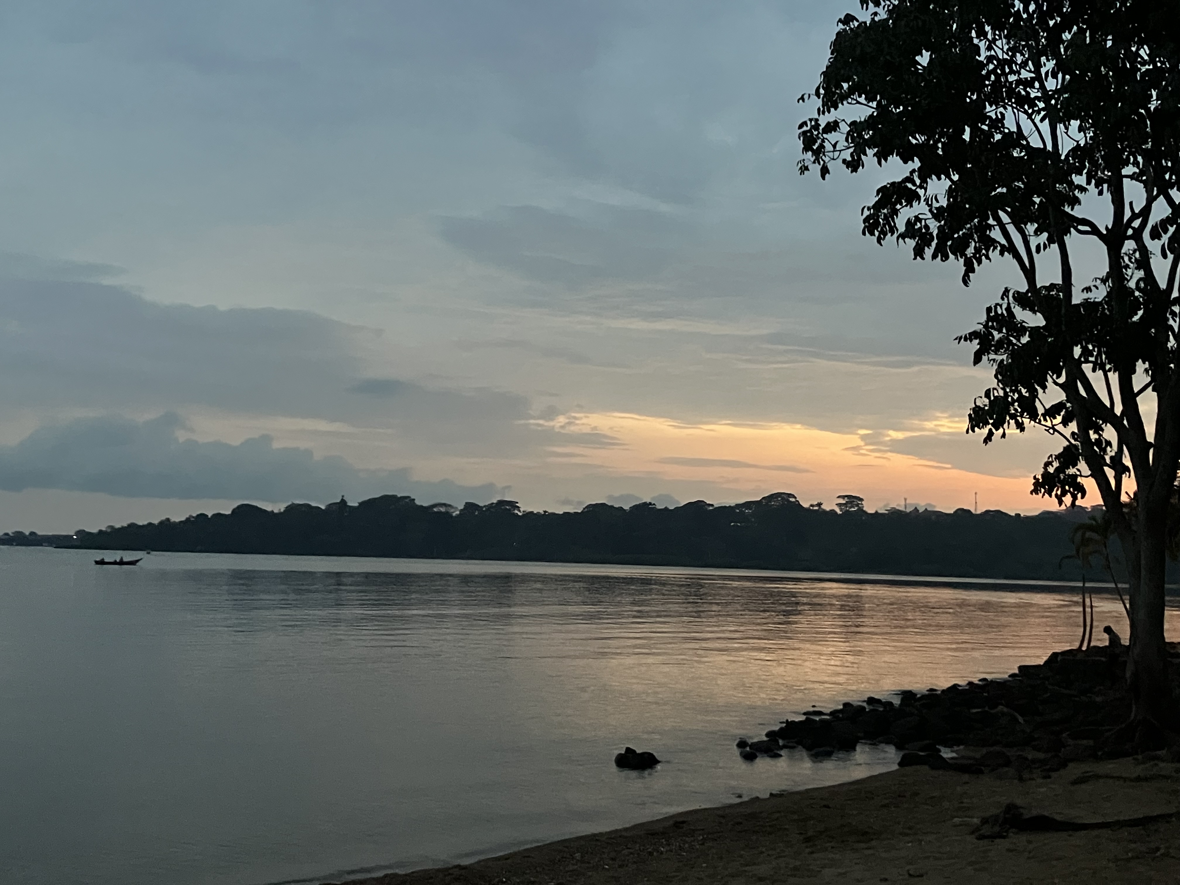 Community workshop - Nature Alliance